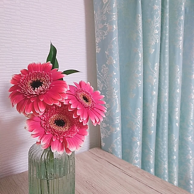 savaomaniaさんの実例写真