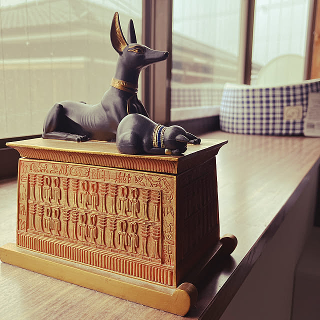 noaさんの実例写真