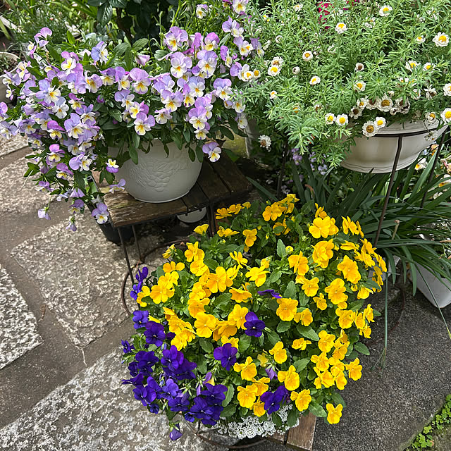 fumikoiさんの部屋