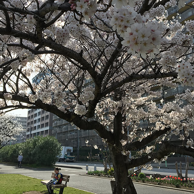 ohanaさんの実例写真