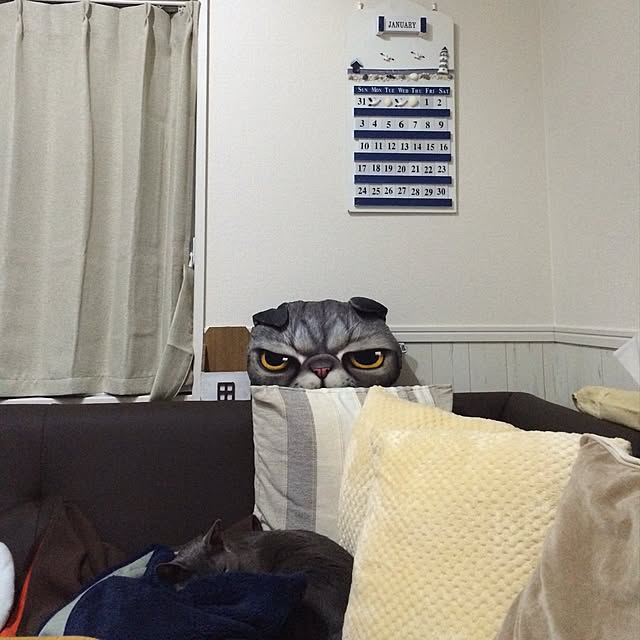 Yumikoさんの実例写真