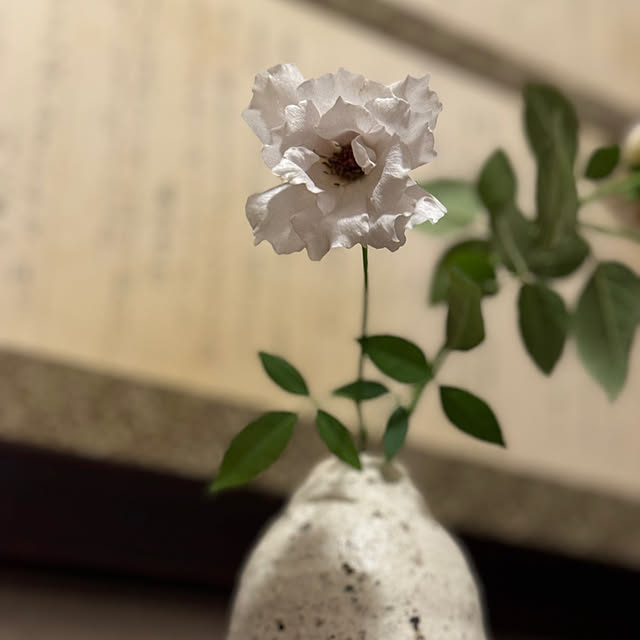 mamizaさんの実例写真