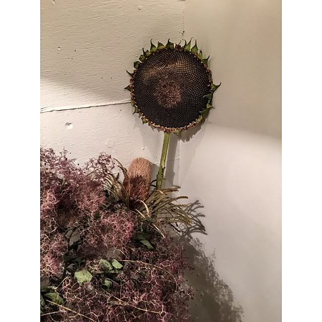 kurobarさんの実例写真