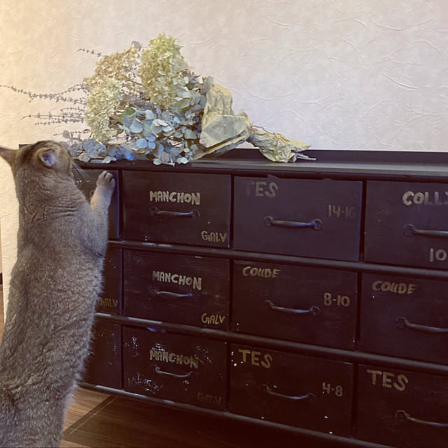 jill_lowさんの実例写真