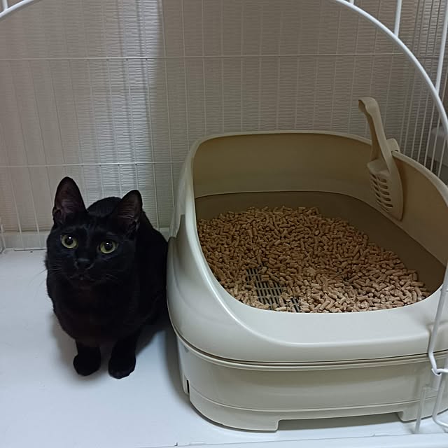 anayoikoさんの部屋