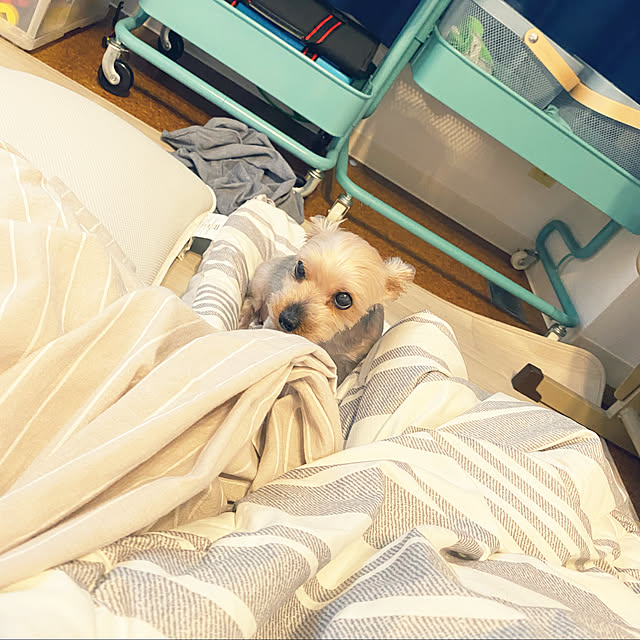 ohanaさんの実例写真