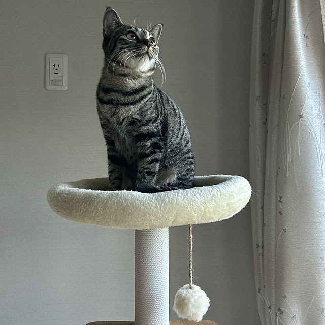 yunyumさんの部屋