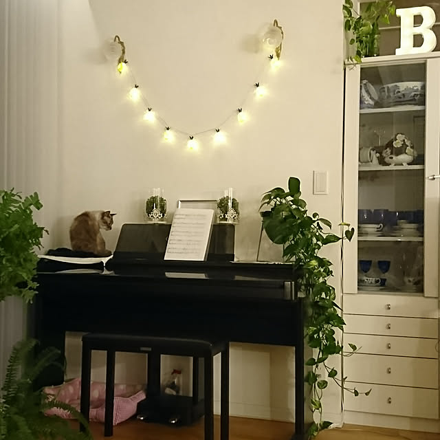 bonobono54さんの実例写真
