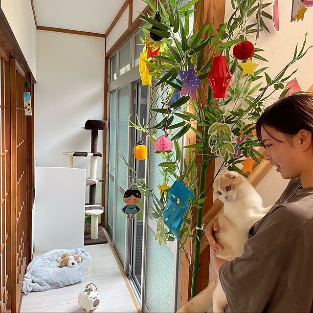 sacchiさんの実例写真