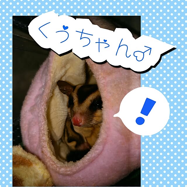 KOHAKUさんの実例写真