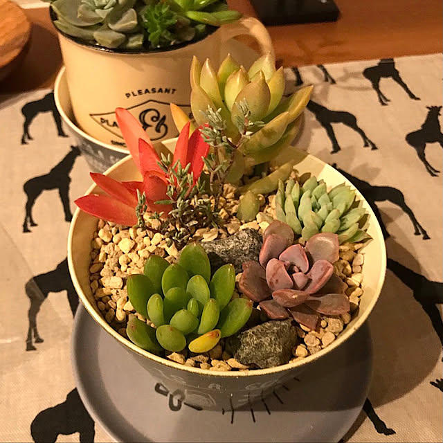 実例写真