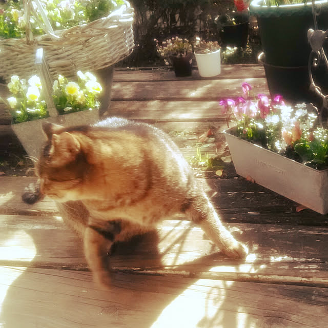 実例写真