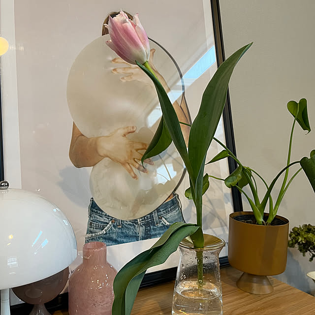 mitsuchanさんの実例写真