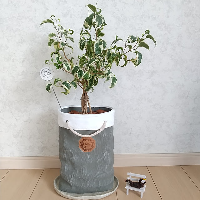 meiさんの実例写真