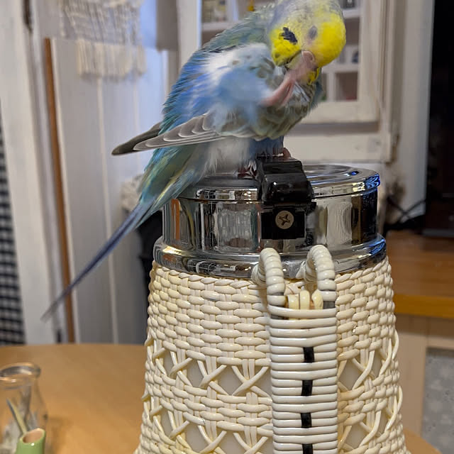 Atsukoさんの部屋