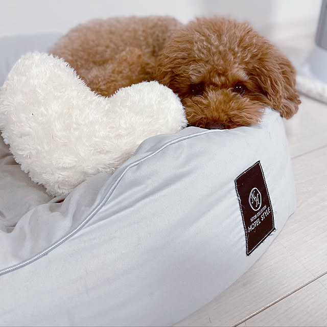 cocoaさんの実例写真