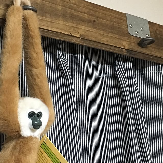 tetra163さんの実例写真