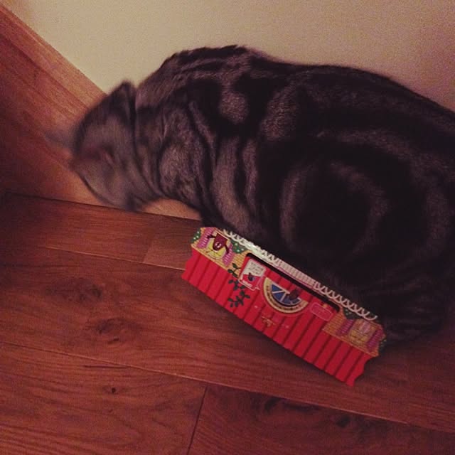fuku48さんの実例写真