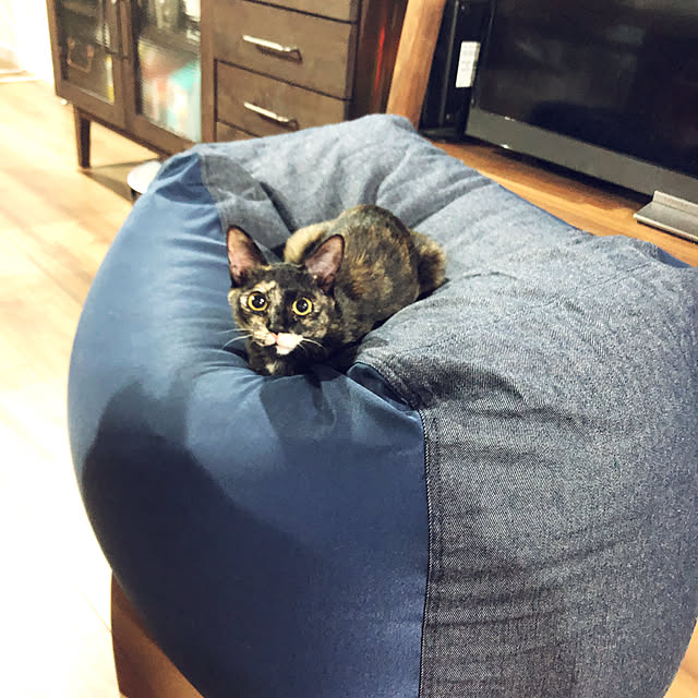 Yukinekoさんの実例写真