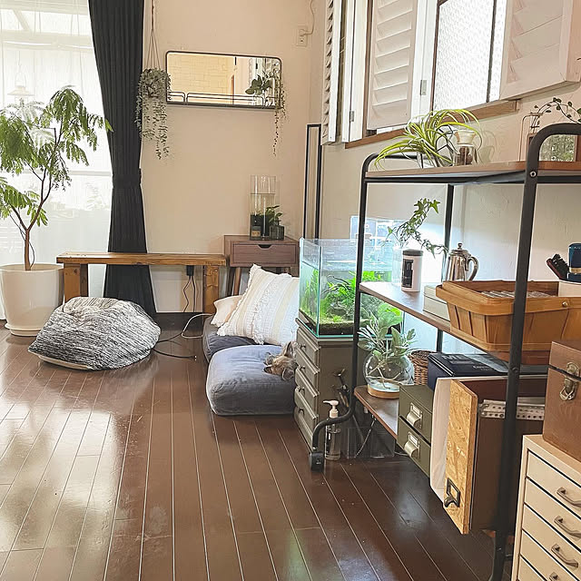 kuroさんの部屋