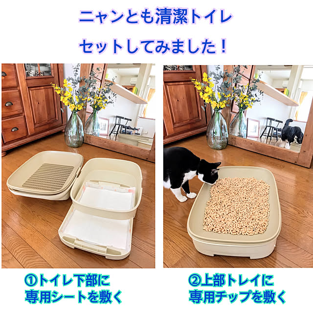 hiyo.pietさんの実例写真