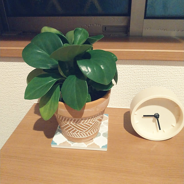 chichiさんの実例写真