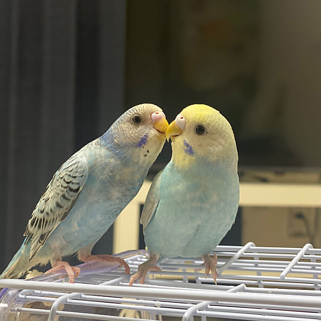 ohanaさんの部屋