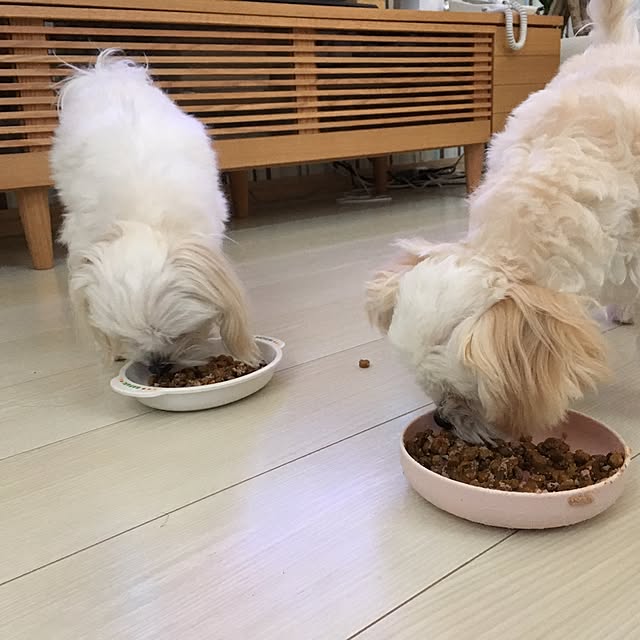 maru-cheeさんの実例写真