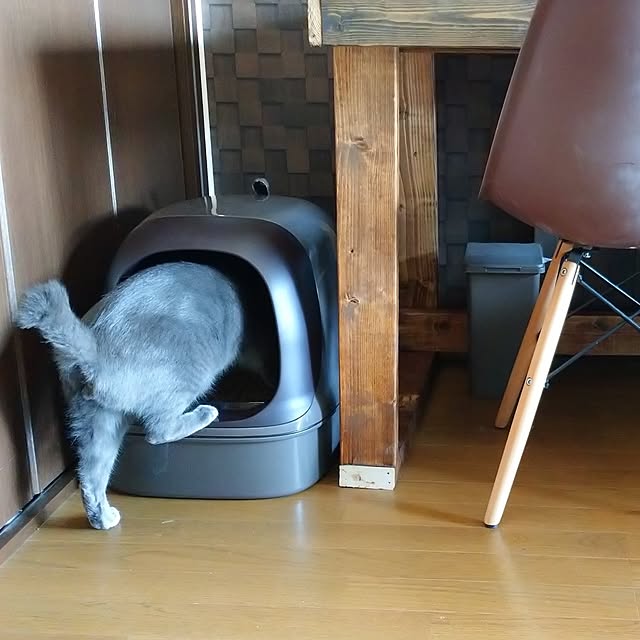 raraさんの部屋