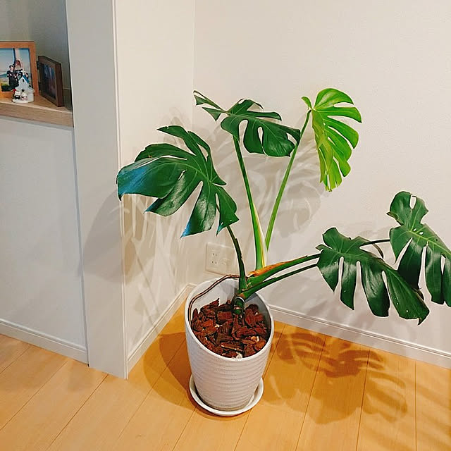 uraaki1730さんの実例写真