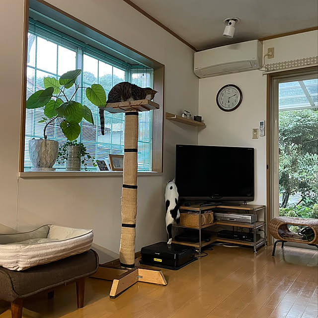 nobikoさんの実例写真