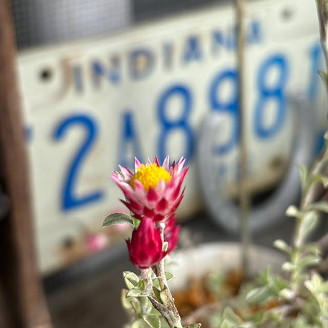 BLENDAGARAGEさんの部屋