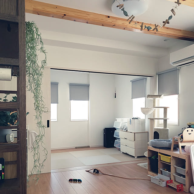 部屋全体/ニトリ/北欧/ナチュラルキッチン/カフェ風...などのインテリア実例 - 2021-08-05 16:33:25