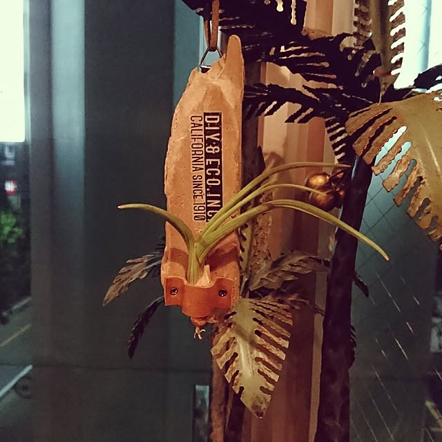 cocosorasakuさんの実例写真
