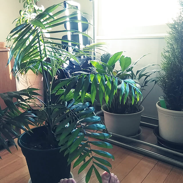 norikoさんの実例写真