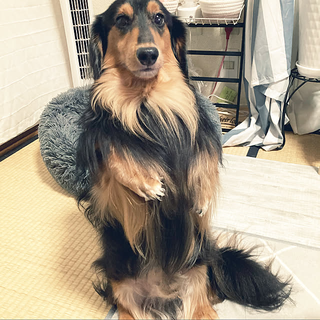 Chikuwaさんの実例写真