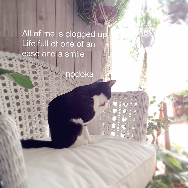 nodokaさんの実例写真