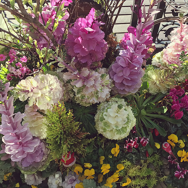 fuyiqian1026さんの実例写真