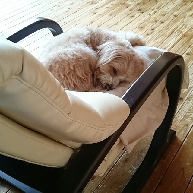 makaronさんの実例写真