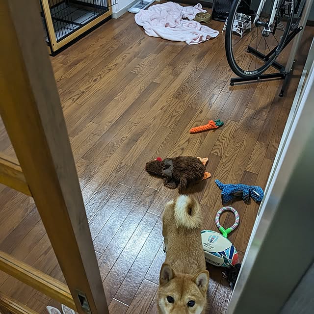 SLさんの部屋