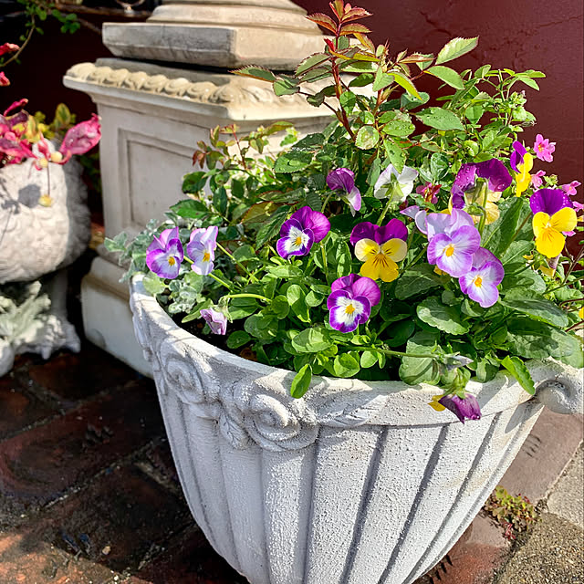 AYUKOさんの実例写真