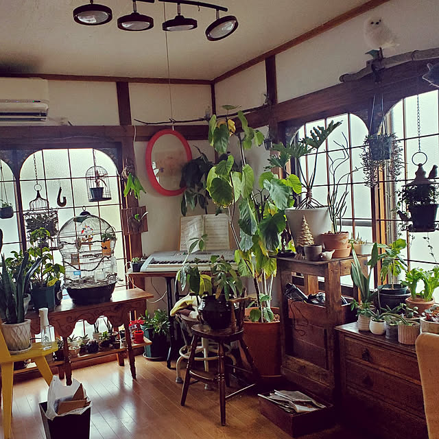 部屋全体のインテリア実例 - 2023-01-30 12:46:49