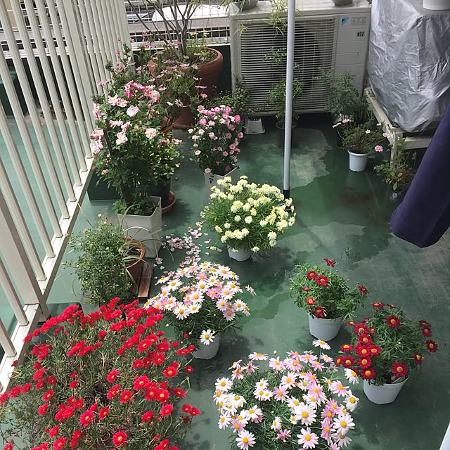 実例写真