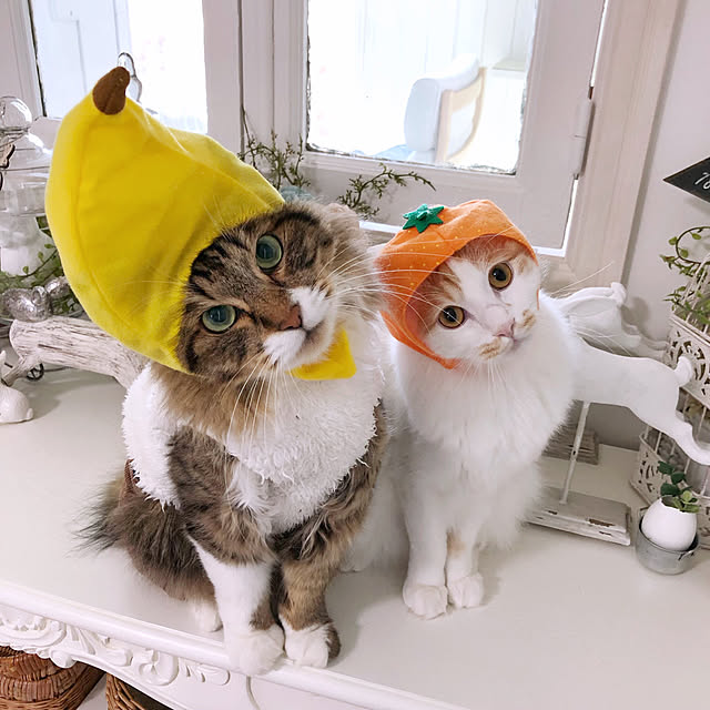 yuchiさんの実例写真