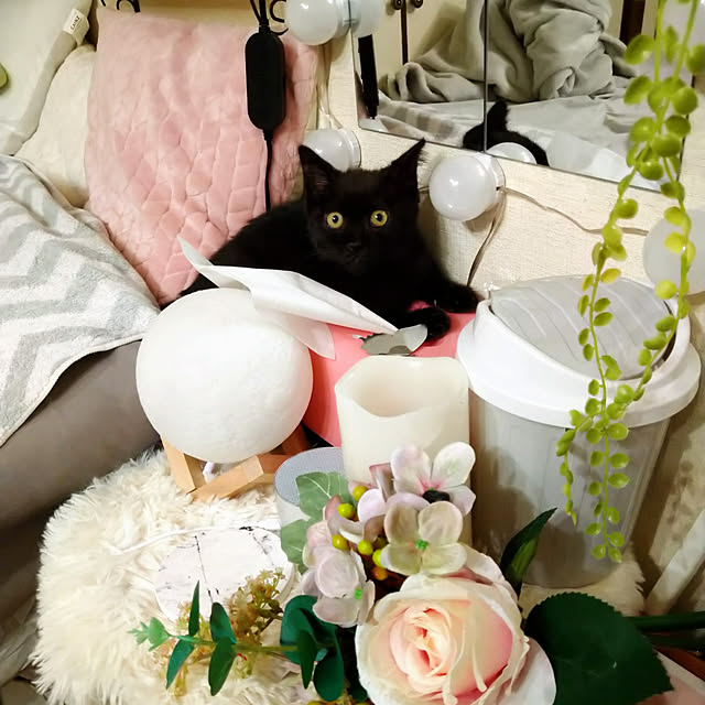 Tさんの実例写真