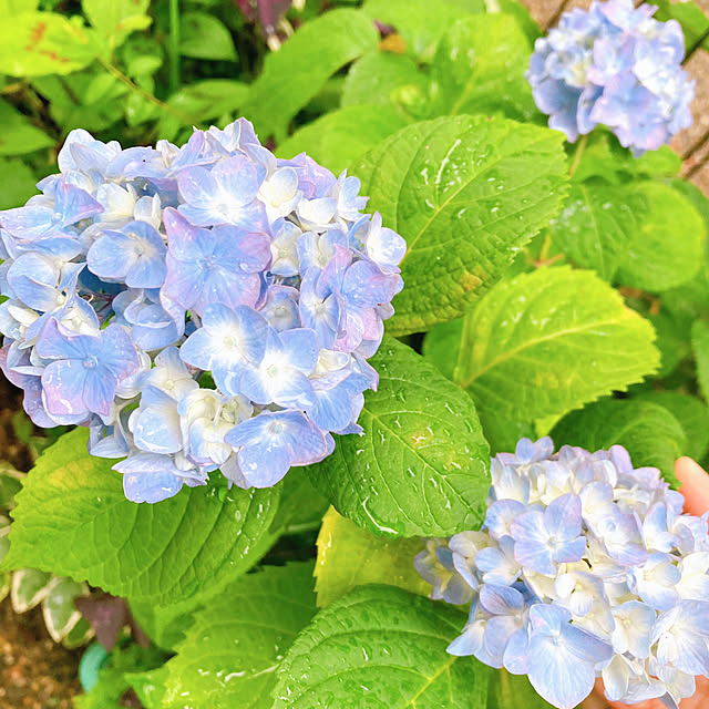 sunabaさんの実例写真