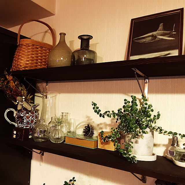 雑貨/観葉植物/棚のインテリア実例 - 2019-07-14 21:11:23
