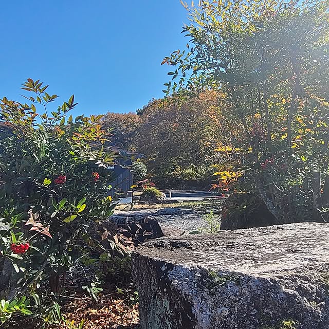 Rubiconさんの実例写真