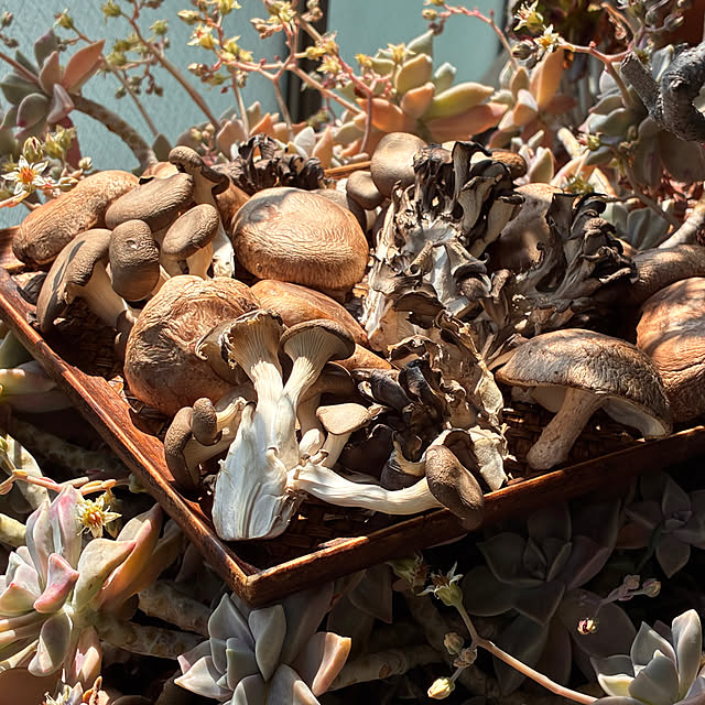 maqfabさんの実例写真