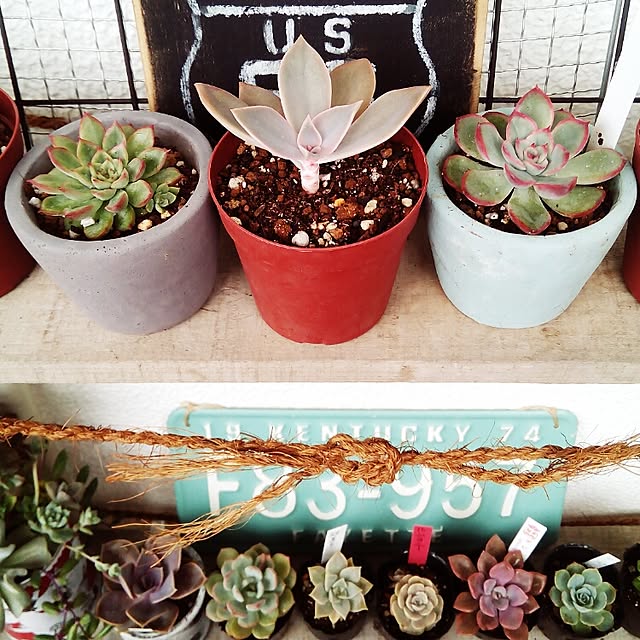 VERANDARJUNさんの実例写真